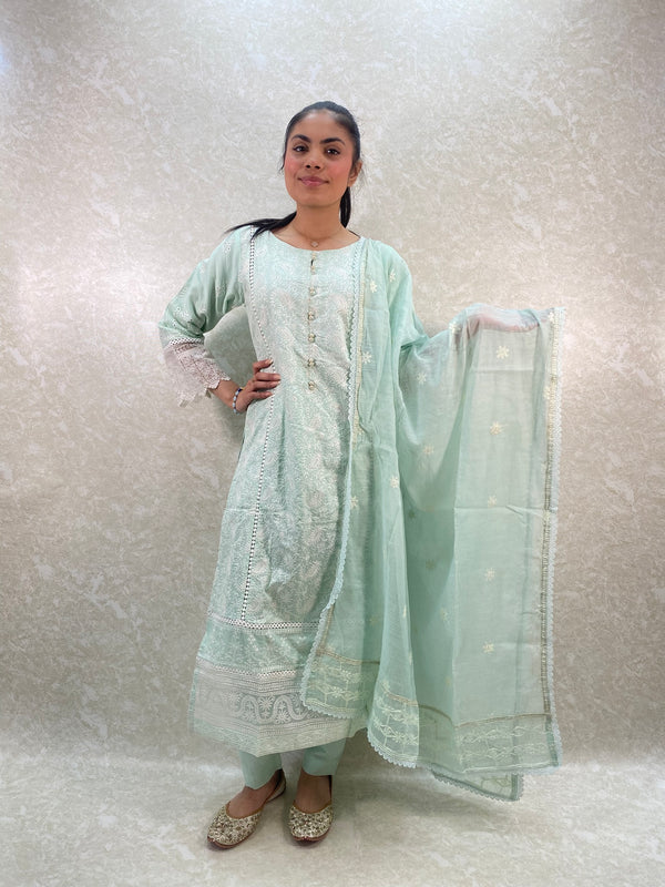 Baby blue chicken kari